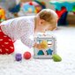 Kujundite sorteerimine Ekkong цена и информация | Arendavad mänguasjad | kaup24.ee