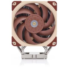 Noctua NH-U12S (DX-4677) цена и информация | Кулеры для процессоров | kaup24.ee