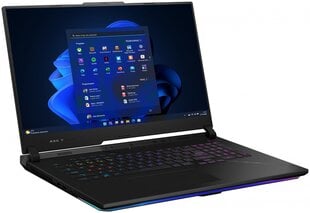 Asus ROG Strix Scar 17 G733PYV-LL054X цена и информация | Ноутбуки | kaup24.ee