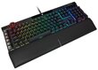 Corsair K100 QWERTZ (CH-912A01A-DE) hind ja info | Klaviatuurid | kaup24.ee