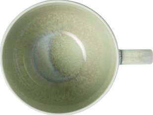Villeroy &amp; Boch чашка для кофе, 0,27 л цена и информация | Стаканы, фужеры, кувшины | kaup24.ee