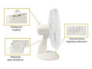 Desk Fan WT03 40W 16" white цена и информация | Вентиляторы | kaup24.ee