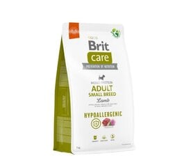 Brit Care Adult S kuivtoit väikestest tõugudest koertele lambaliha ja riisiga, 1 kg цена и информация | Сухой корм для собак | kaup24.ee