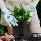 Taimede potid цена и информация | Dekoratiivsed lillepotid | kaup24.ee