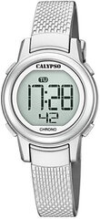 Calypso Универсальный для женщин 5736/1 цена и информация | Женские часы | kaup24.ee