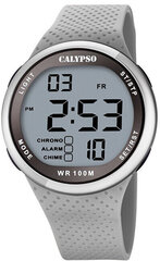 Calypso Digital naisele 5785/1 цена и информация | Женские часы | kaup24.ee