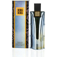 Odekolonn meestele Liz Claiborne Bora Bora for Men EDC, 100ml hind ja info | Meeste parfüümid | kaup24.ee