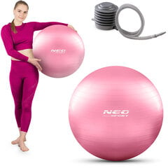 Võimlemispall pumbaga 55 cm NS-950, roosa hind ja info | Võimlemispallid | kaup24.ee