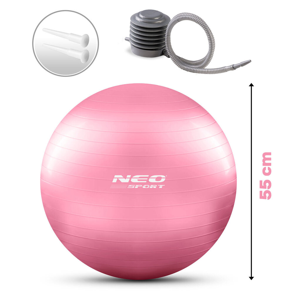 Võimlemispall pumbaga 55 cm NS-950, roosa hind ja info | Võimlemispallid | kaup24.ee