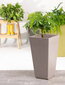 Sonata pott Primek Oak 50 hind ja info | Dekoratiivsed lillepotid | kaup24.ee