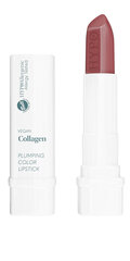 Губная помада VEGAN COLLAGEN Plumping Color Lipstick 01 Choco цена и информация | Помады, бальзамы, блеск для губ | kaup24.ee