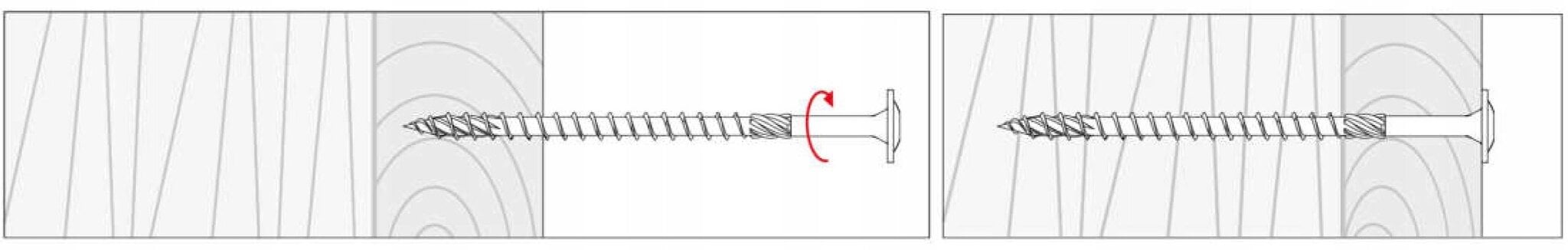 50 tk puidukruvid 8x280 mm, lamedad, TORX, Klimas WKCP hind ja info | Kinnitusvahendid | kaup24.ee