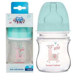 Lutipudel Canpol Babies Easy Start Anti-colic 120ml, 0m+ Exotic Animals цена и информация | Бутылочки и аксессуары | kaup24.ee