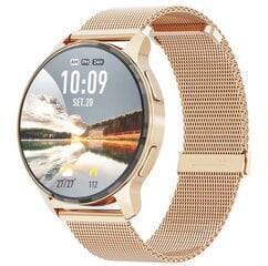 WonderFit sX5, gold цена и информация | Смарт-часы (smartwatch) | kaup24.ee