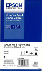 Epson SureLab Pro-S Paper Glossy BP 5x65 2 rolls 	C13S450061BP - цена и информация | Смягчает воду и защищает Вашу посудомоечную машину от извести. | kaup24.ee