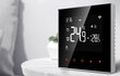 Avatto Smart Boiler Heating Thermostat WT100 3A WiFi Tuya цена и информация | Küttekehad | kaup24.ee