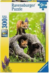 Ravensburger пазл на 300 элементов "Curious Foxes" цена и информация | Пазлы | kaup24.ee