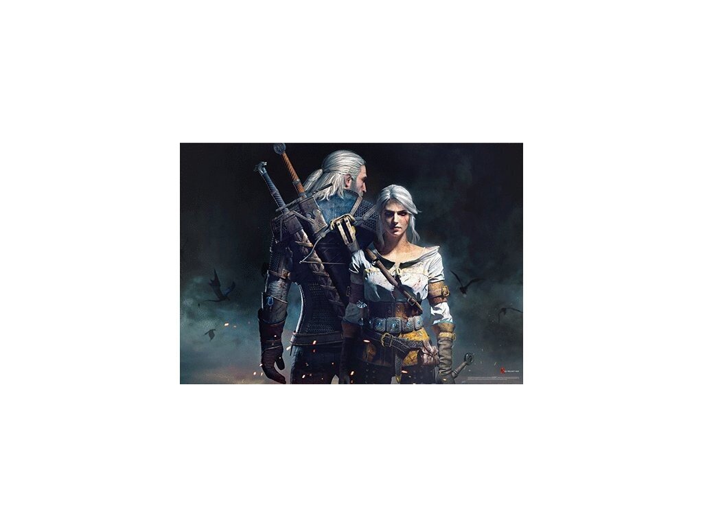 Pusle The Witcher: Geralt ja Ciri, 1000 tk hind ja info | Pusled | kaup24.ee