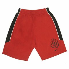 Täikasvanute püksid Nike Just Do It, punane hind ja info | Ujumispüksid, shortsid | kaup24.ee