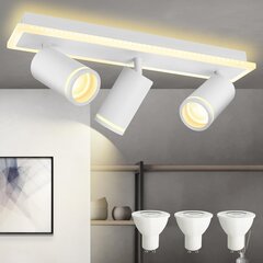 LED-laevalgusti Vayalt, 5 W, 1700 lm, valge цена и информация | Потолочные светильники | kaup24.ee