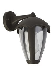 Searchlight наружный настенный светильник Bluebell 57891GY, 1 шт. цена и информация | Уличное освещение | kaup24.ee