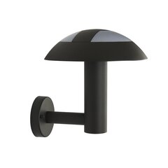 Searchlight наружный настенный светильник Mushroom 7263GY, 1 шт. цена и информация | Уличное освещение | kaup24.ee