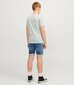 Jack & Jones lühikesed teksapüksid poistele 12249175*01, sinine 5715503801874 цена и информация | Poiste lühikesed püksid | kaup24.ee