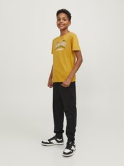 Jack & Jones T-särk lastele 12237367*01, kollane 5715425346873 цена и информация | Рубашки для мальчиков | kaup24.ee