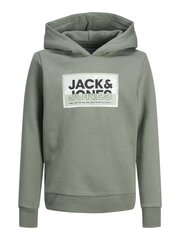 Jack & Jones dressipluus lastele 12254120*01, roheline 5715514900030 цена и информация | Свитеры, жилетки, пиджаки для мальчиков | kaup24.ee