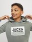 Jack & Jones dressipluus lastele 12254120*01, roheline 5715514900030 hind ja info | Poiste kampsunid, vestid ja jakid | kaup24.ee