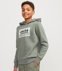 Jack & Jones dressipluus lastele 12254120*01, roheline 5715514900030 hind ja info | Poiste kampsunid, vestid ja jakid | kaup24.ee