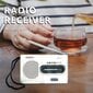 Kaasaskantav AM/FM raadio hind ja info | Raadiod ja äratuskellad | kaup24.ee