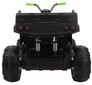 Quad ATV - Quad ATV, must ja roheline hind ja info | Laste elektriautod | kaup24.ee