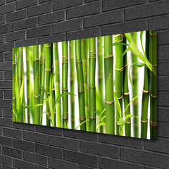 Seinapilt lõuendil Taimed bambustorud hind ja info | Seinapildid | kaup24.ee