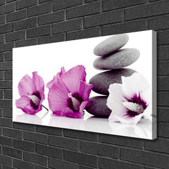 Seinapilt lõuendil Taimsed lilled kivid hind ja info | Seinapildid | kaup24.ee