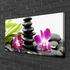 Seinapilt lõuendil Lilled Stones Art hind ja info | Seinapildid | kaup24.ee
