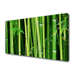 Seinapilt lõuendil Taimed bambustorud hind ja info | Seinapildid | kaup24.ee