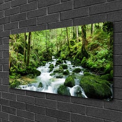 Seinapilt lõuendil Wald näeb kivide loodus цена и информация | Картины, живопись | kaup24.ee