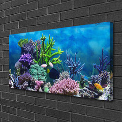 Seinapilt lõuendil Korallriffide loodus hind ja info | Seinapildid | kaup24.ee
