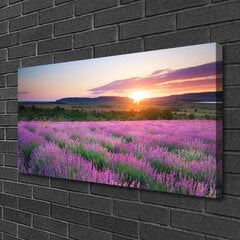Seinapilt lõuendil Päikeseniitu lilled olemus hind ja info | Seinapildid | kaup24.ee