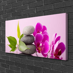 Seinapilt lõuendil Taimse lille kivid lehed hind ja info | Seinapildid | kaup24.ee