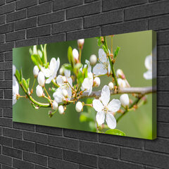Seinapilt lõuendil Lillede taimsed oksad hind ja info | Seinapildid | kaup24.ee