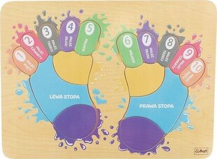 Jalakujuline pusle Tup Tup Feet Trefl, 16 tk hind ja info | Arendavad mänguasjad | kaup24.ee