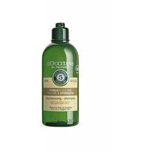 Šampoon L'occitane Champu Fuerza y Volumen 300 ml hind ja info | Näokreemid | kaup24.ee