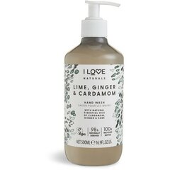 Niisutav vedel käteseep Natura ls Lime, Ginger & Cardamon (Hand Wash) 500 ml hind ja info | Seebid | kaup24.ee