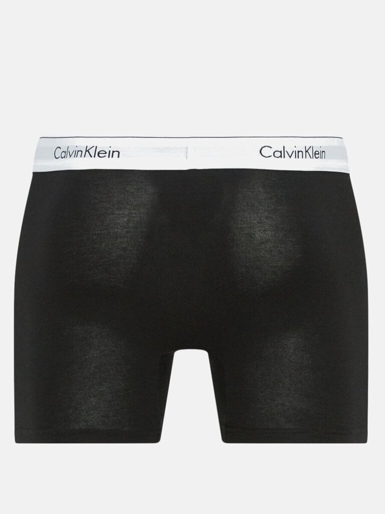 Calvin Klein aluspüksid meestele Boxer Brief 000NB2381AGW4 545667342, mitmevärviline, 3tk hind ja info | Meeste aluspesu | kaup24.ee