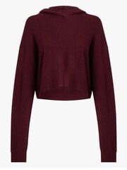 Свитшот Calvin Klein Sweatshirt Rouge 000QS7043EXAT 545667507, красный цена и информация | Женские кофты | kaup24.ee