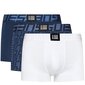 Guess aluspüksid meestele 7621701222206, erinevad värvid, 3 tk hind ja info | Meeste aluspesu | kaup24.ee
