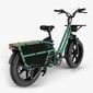 Elektrijalgratas Fiido T2, 20", roheline, 750W hind ja info | Elektrirattad | kaup24.ee