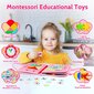 QuizFun Busy Board Montessori mänguasjad lastele hind ja info | Arendavad mänguasjad | kaup24.ee